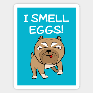 Bibby The Pitbull Smells Eggs Magnet